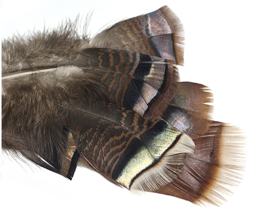 Перо Wapsi Ozark Iridescent Turkey Tail