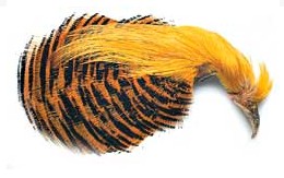 Скальп золотого фазана Golden Phesant Head