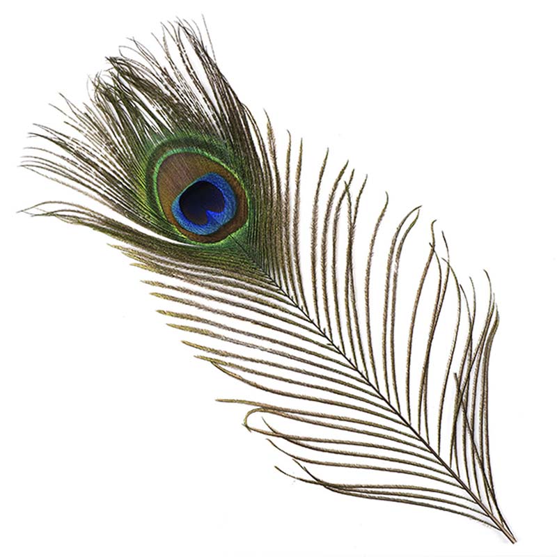 Перо павлина глазковое FF Peacock Eyes Nutural