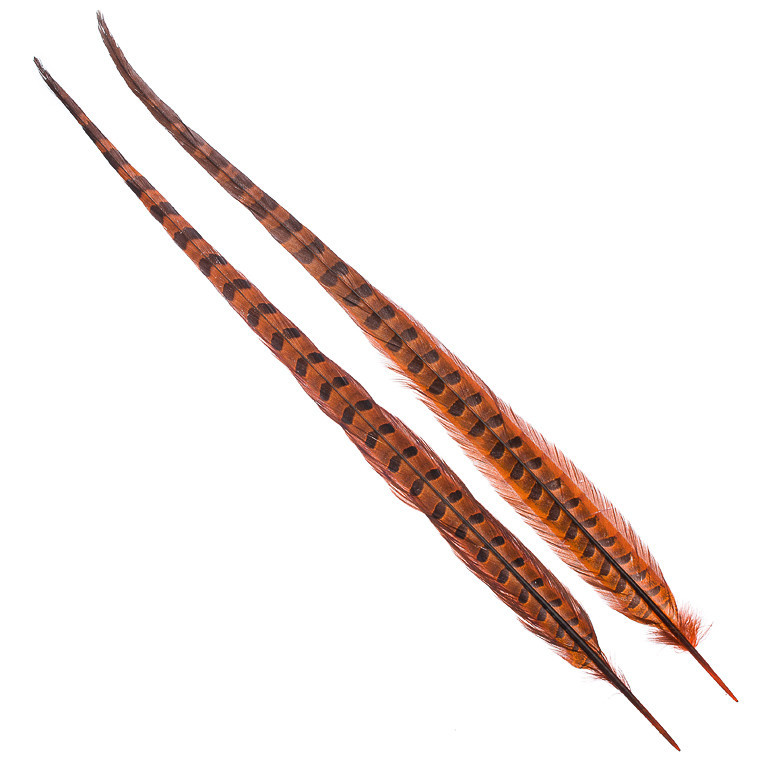 Хвостовое перо фазана Wapsi 1 Pair Ringneck Tail Feathers