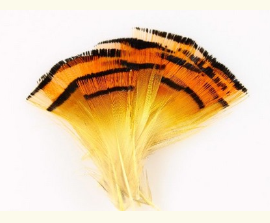 Перо с хохолка фазана Wapsi Golden Phesant Medium Tippets