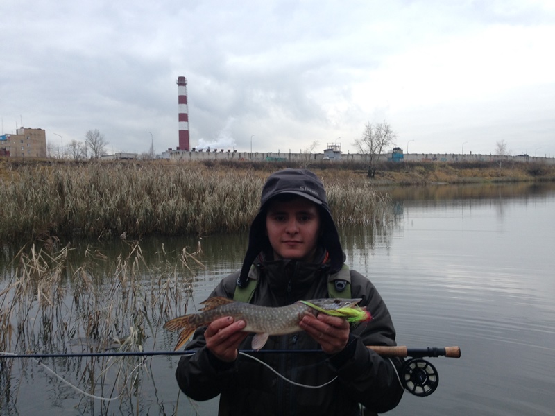 Рыбалка за городом. Щука в камышах. Рыбалка в городе Видное.